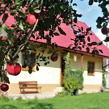 Prázdninový dům Chalupka U Fulov Bziny