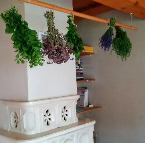 Chalupka U Fulov Bziny